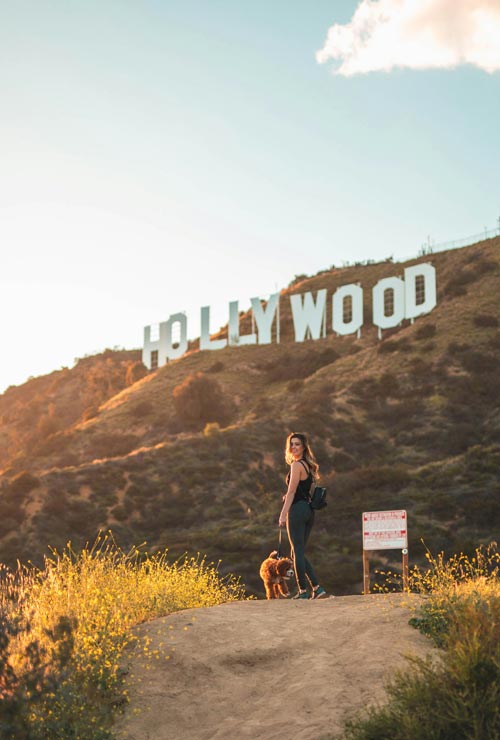 The Hollywood Sign